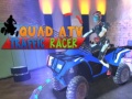 Laro Quad ATV Traffic Racer
