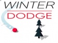 Laro Winter Dodge