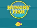 Laro Hungry Fish