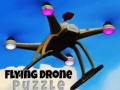 Laro Flying Drone Puzzle