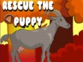 Laro Rescue The Puppy