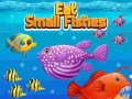 Laro Eat Small Fishes