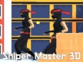 Laro Sniper Master 3D
