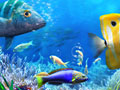 Laro Let's Fish