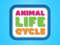 Laro Animal Life Cycle