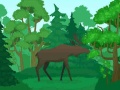 Laro Wild Animals Coloring