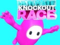 Laro Ultimate Knockout Race