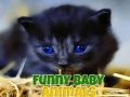 Laro Funny Baby Animals