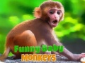 Laro Funny Baby Monkey