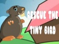 Laro Rescue The Tiny Bird