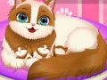 Laro Cute Kitty Pregnant