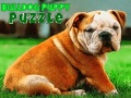 Laro Bulldog Puppy Puzzle