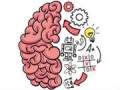 Laro Brain Test