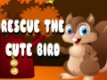 Laro Rescue The Cute Bird