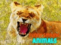 Laro Funny Smiling Animals