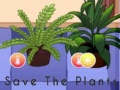 Laro Save the Plants