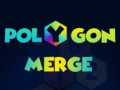 Laro Polygon Merge