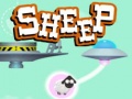 Laro Sheep