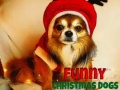 Laro Funny Christmas Dogs