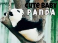 Laro Cute Baby Panda