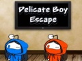 Laro Delicate Boy Escape