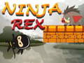 Laro Ninja Rex