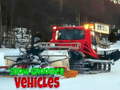 Laro Snow Groomer Vehicles