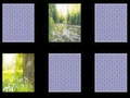 Laro Nature Memory