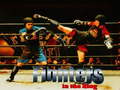 Laro Fighters in the Ring