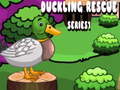 Laro Duckling Rescue Series1