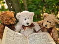 Laro Cuddly Three Teddy Jigsaw
