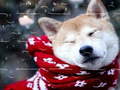 Laro Winter Pets Puzzle