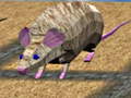 Laro Mouse Race Islands