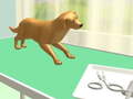 Laro Paw Care