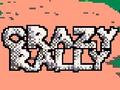 Laro Crazy Rally