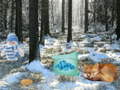Laro Winter Wonderland Forest Adventure