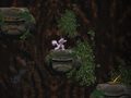 Laro Cave Descent