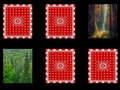 Laro Forest memory