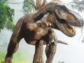 Laro Tyrannosaurus Rex Carnivore Jigsaw