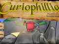 Laro Сuriophillia