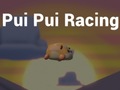 Laro Pui Pui Racing