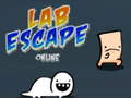 Laro Lab Escape Online