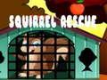 Laro Squirrel Rescue