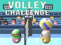 Laro Volley Challenge