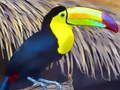 Laro Toucan Bird Jigsaw