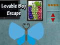 Laro Lovable Boy Escape