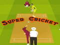 Laro Super Cricket 