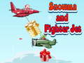 Laro Snowman and Fighter Jet