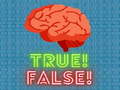 Laro True! False! 