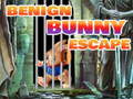 Laro Benign Bunny Escape